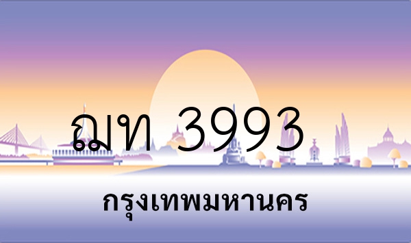 ฌท 3993
